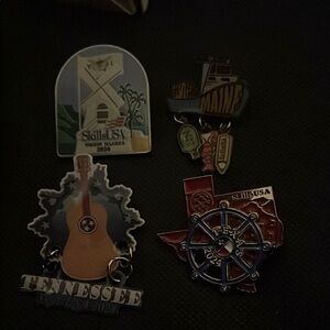 Set of 5 State-Themed Pins